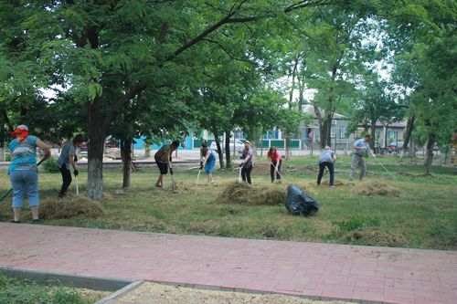 Новые Правила благоустройства и санитарного содержания территорий