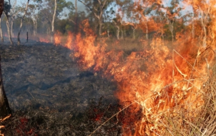 Уважаемые арендаторы!