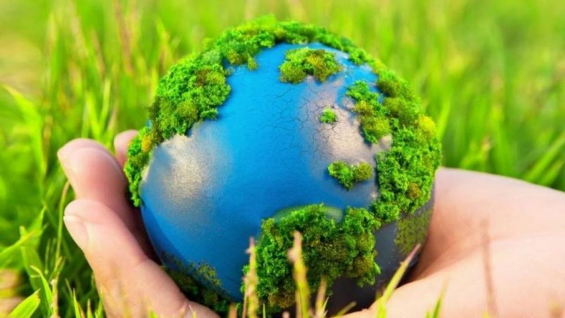 Информационная база проектов экологической безопасности появится в РФ