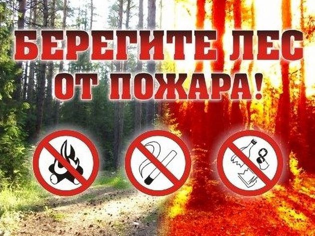 Меры пожарной безопасности в лесах