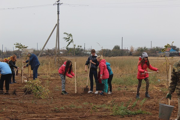 Озеленение Волжского