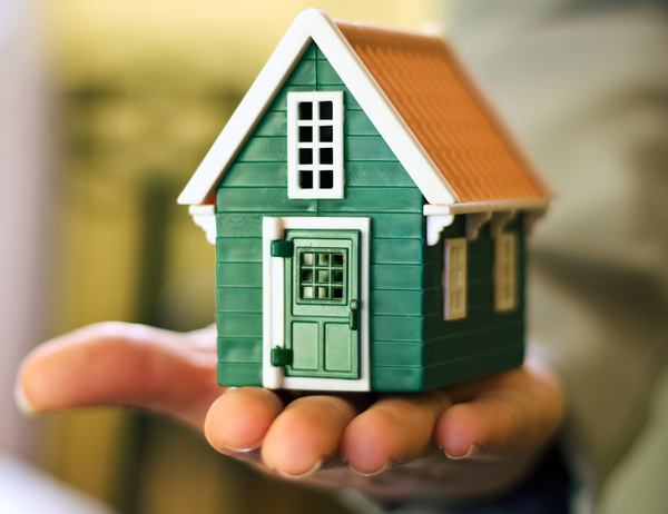 Реализация муниципальной собственности без объявления цены