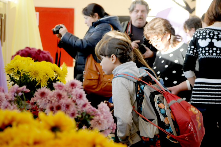 Цветочный вернисаж по-Волжски