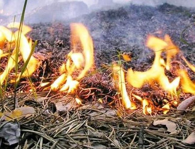 К гражданской обороне готовы!