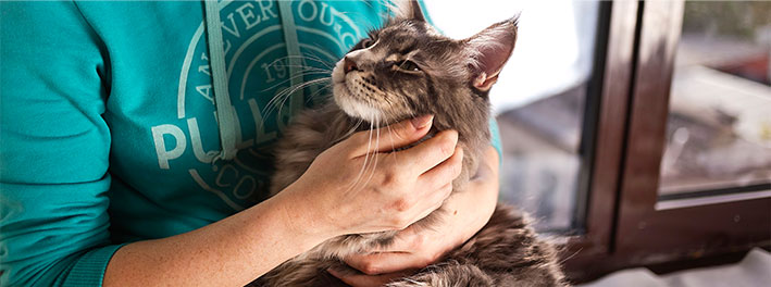 Бешенство в Волжском!