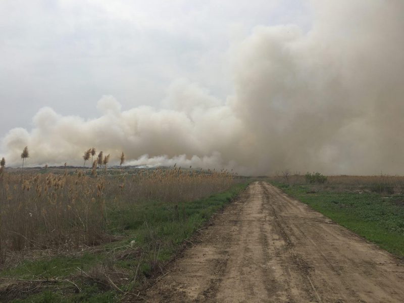 В Волжском произошло возгорание на полигоне ТБО