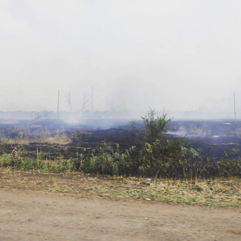 283 дачи сгорело в Волжском из-за пожара